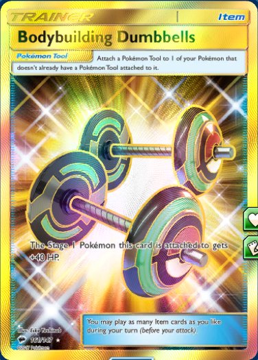 Bodybuilding Dumbbells